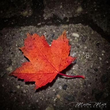 KANADA 2015