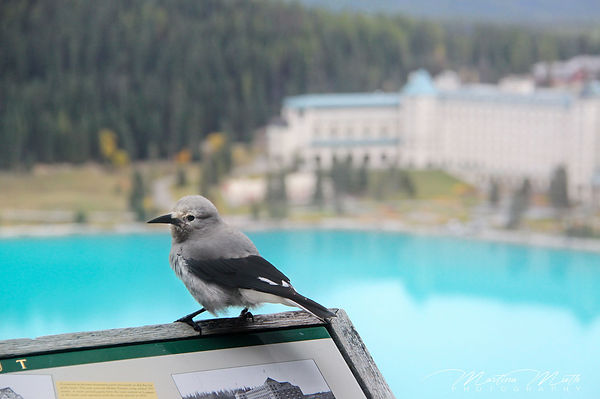 KANADA 2015