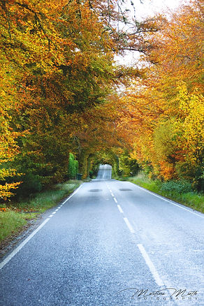 Scotland, autumn, road