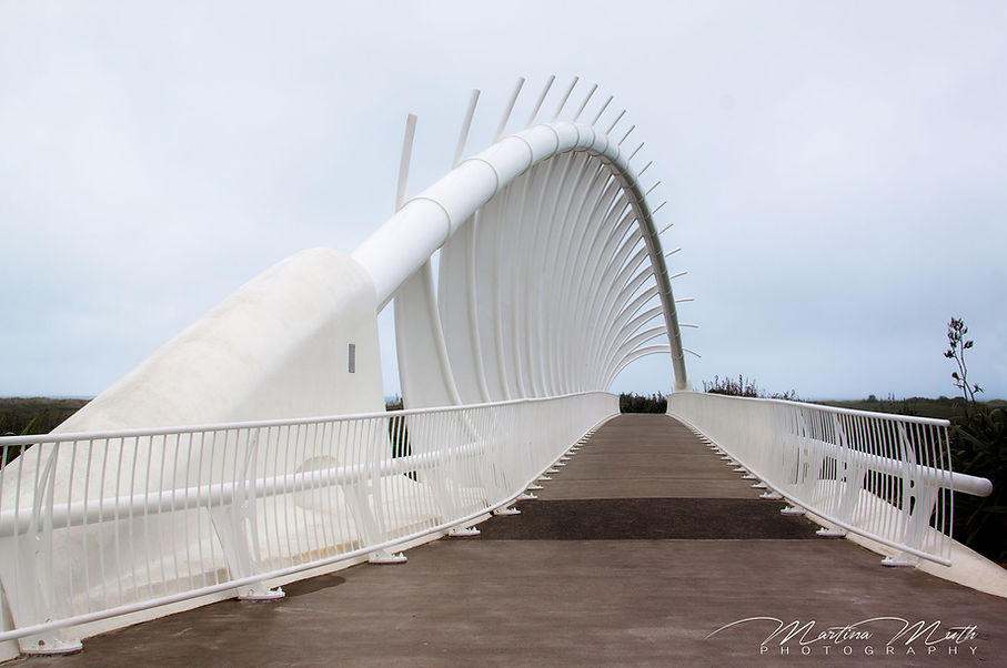 Te Rewa Rewa Bridge in New Plymouth