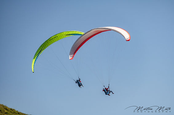 IMG_3875L.jpg