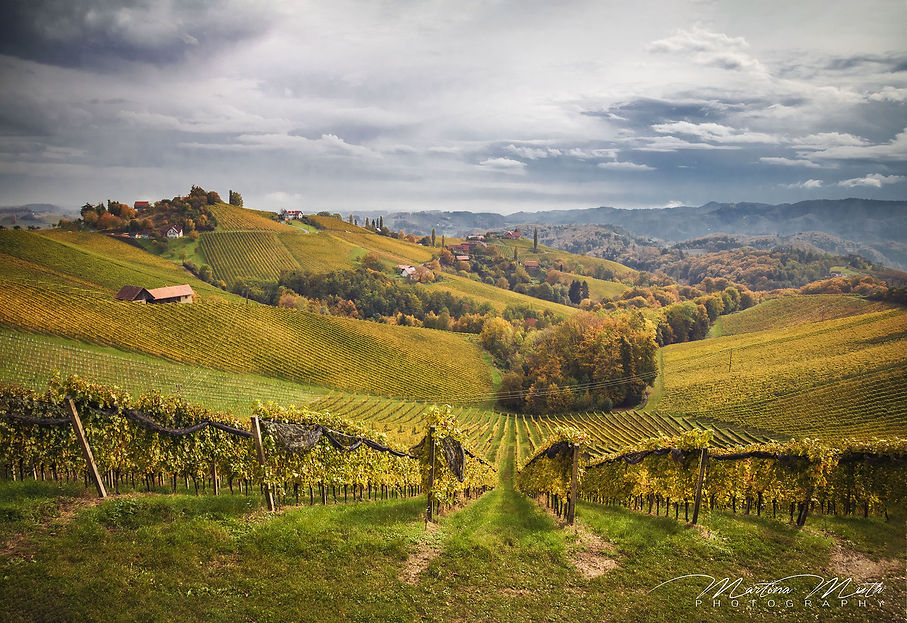 die Südsteirische Panoramastraße
