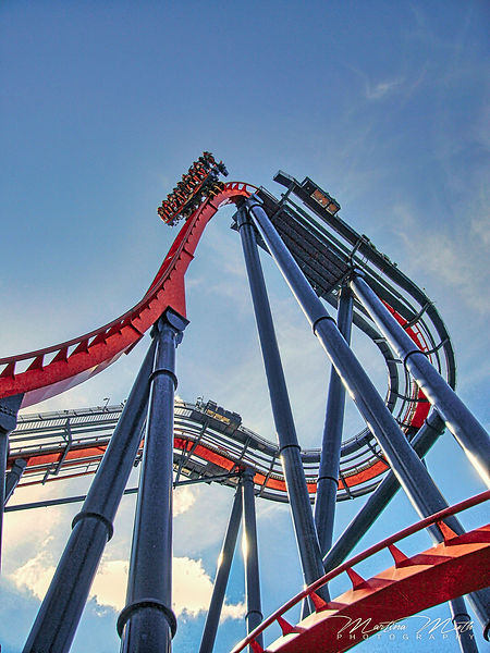 Bush Gardens Tampa Bay Sheikra