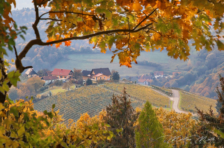 Südsteiermark