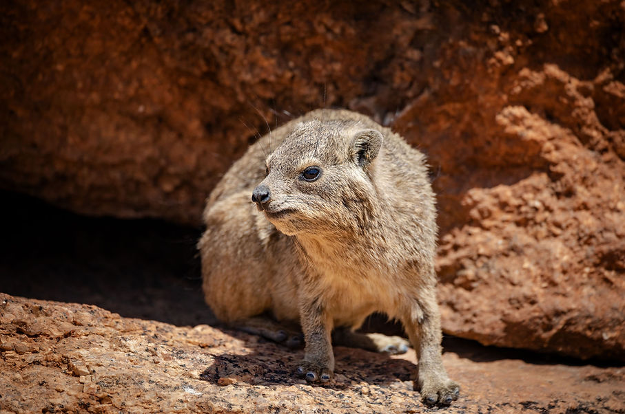 Namibia 721.jpg