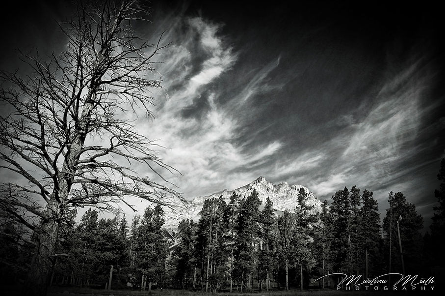 IMG_6642BW2L.jpg