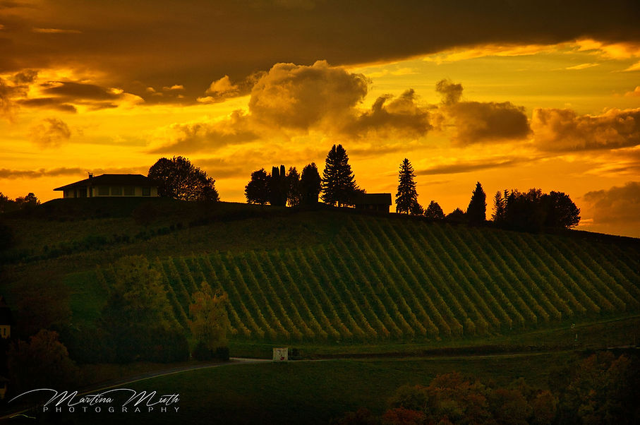 Sonnenuntergang Weinberge Südsteiermark