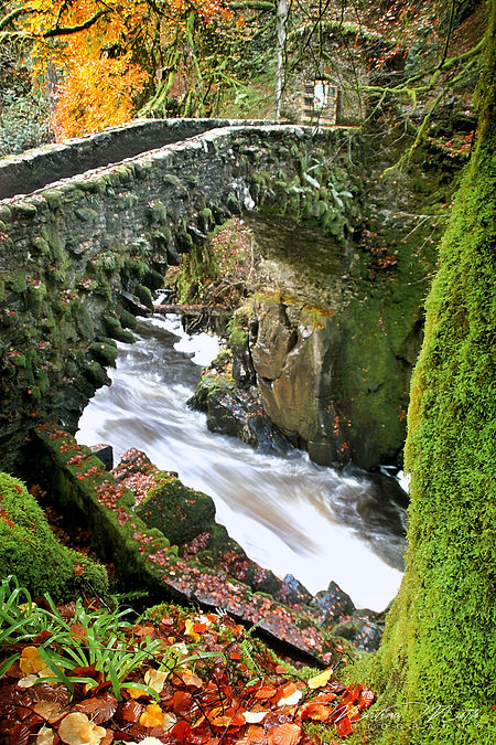 The Hermitage