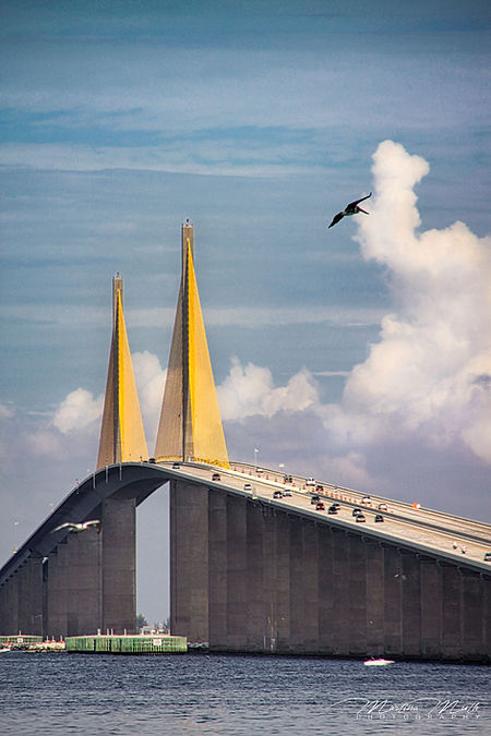 Sunshine Skyway Bridge Tampa Bay