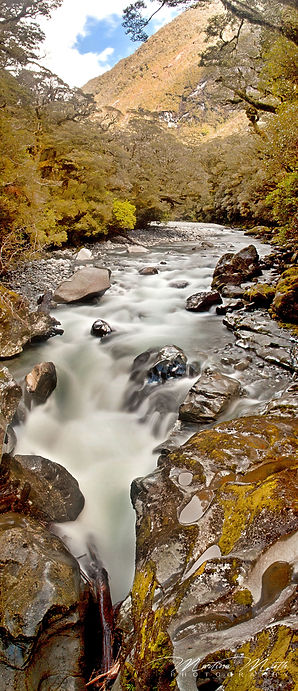 The Chasm