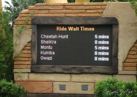 Bush Gardens Tampa Bay