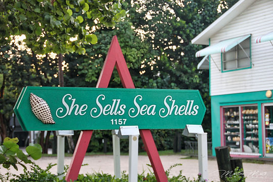 She Sells Sea Shells
