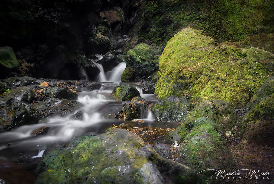 IMG_8570HDRL.jpg
