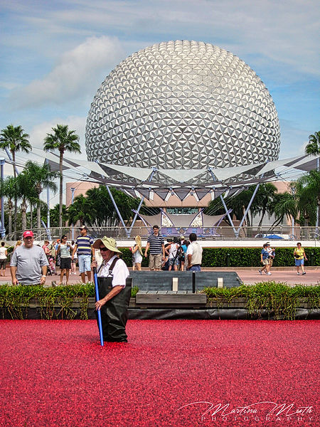 EPCOT Spaceship Earth Cranberries