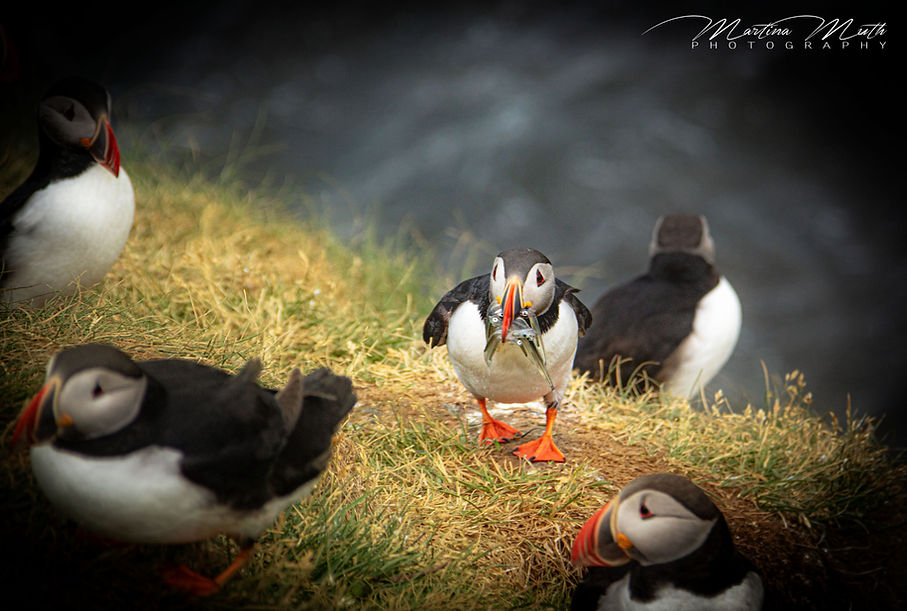 IMG_9163L.jpg